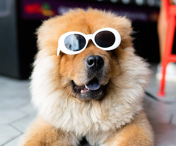 5 Blockchain toepassingen